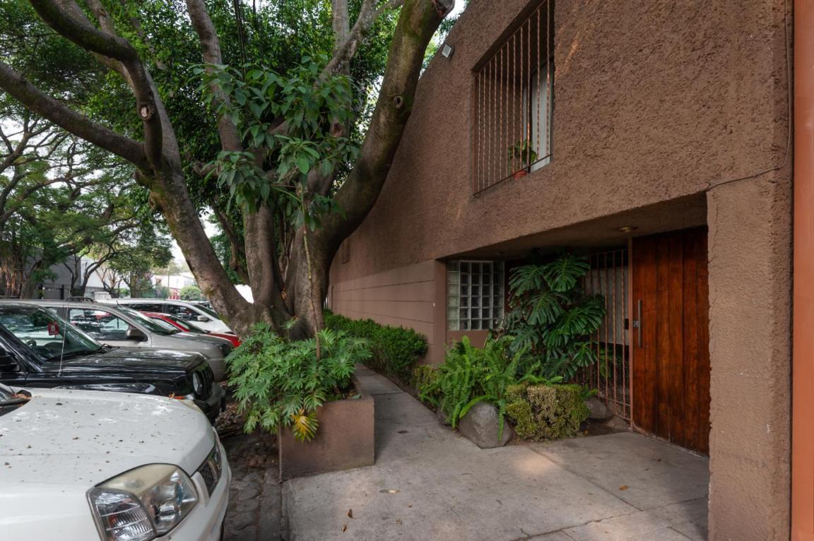 Suite 1-A Monasterio Garden House Welcome to San Angel Mexico-stad Buitenkant foto