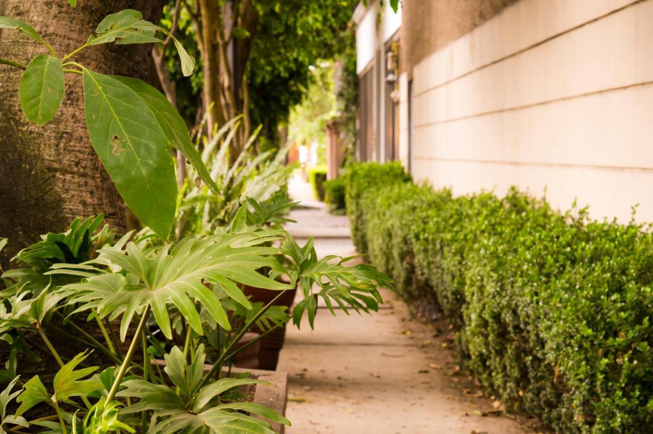 Suite 1-A Monasterio Garden House Welcome to San Angel Mexico-stad Buitenkant foto