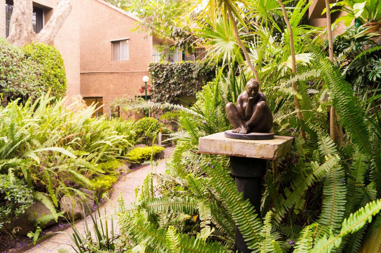 Suite 1-A Monasterio Garden House Welcome to San Angel Mexico-stad Buitenkant foto