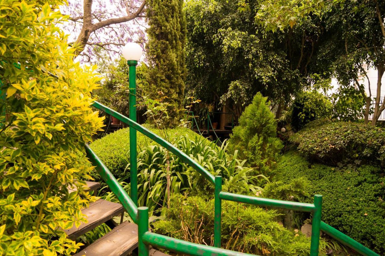 Suite 1-A Monasterio Garden House Welcome to San Angel Mexico-stad Buitenkant foto
