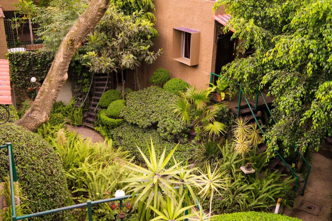 Suite 1-A Monasterio Garden House Welcome to San Angel Mexico-stad Buitenkant foto