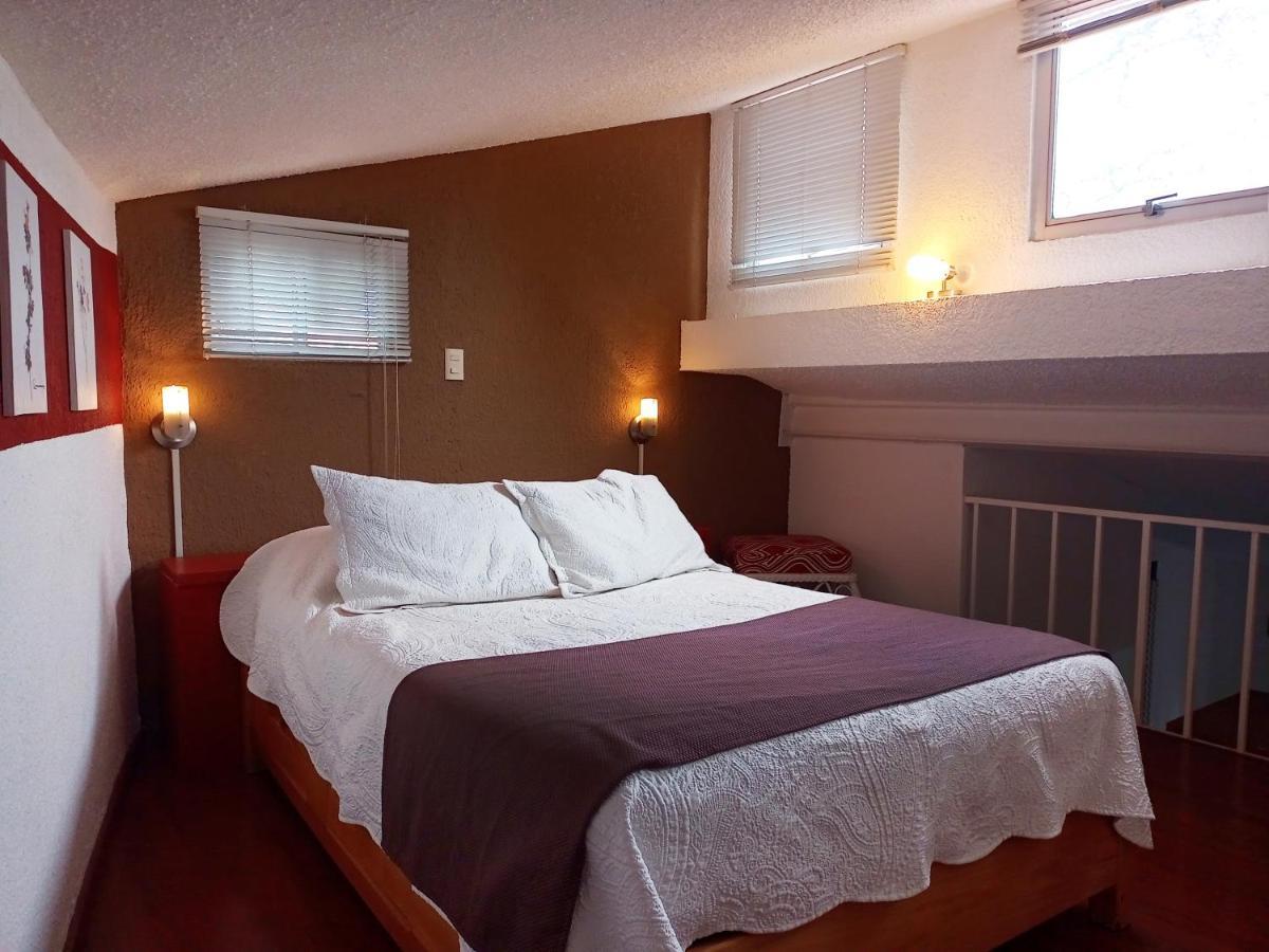 Suite 1-A Monasterio Garden House Welcome to San Angel Mexico-stad Buitenkant foto