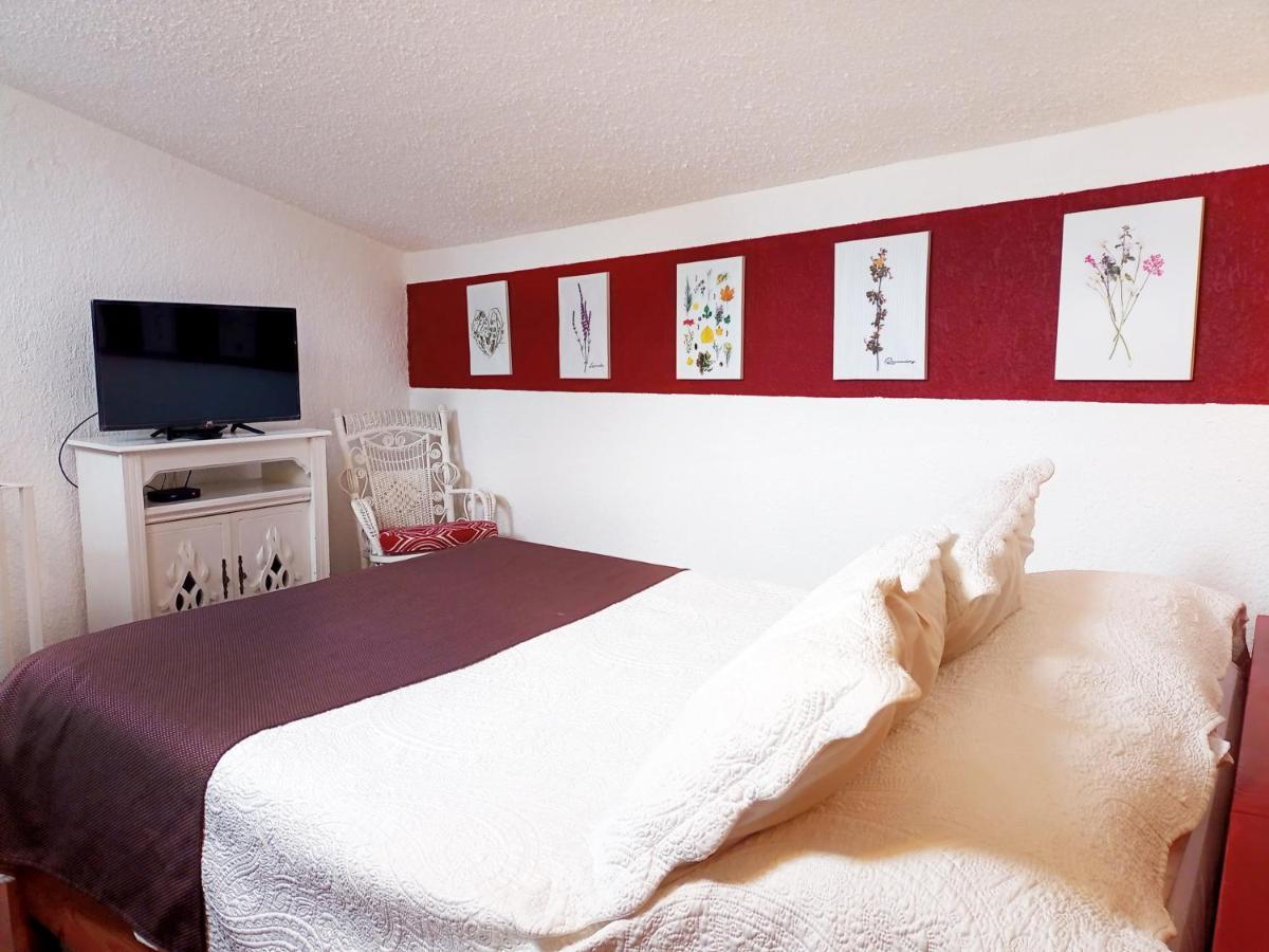 Suite 1-A Monasterio Garden House Welcome to San Angel Mexico-stad Buitenkant foto