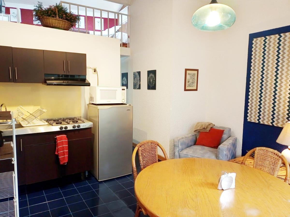 Suite 1-A Monasterio Garden House Welcome to San Angel Mexico-stad Buitenkant foto