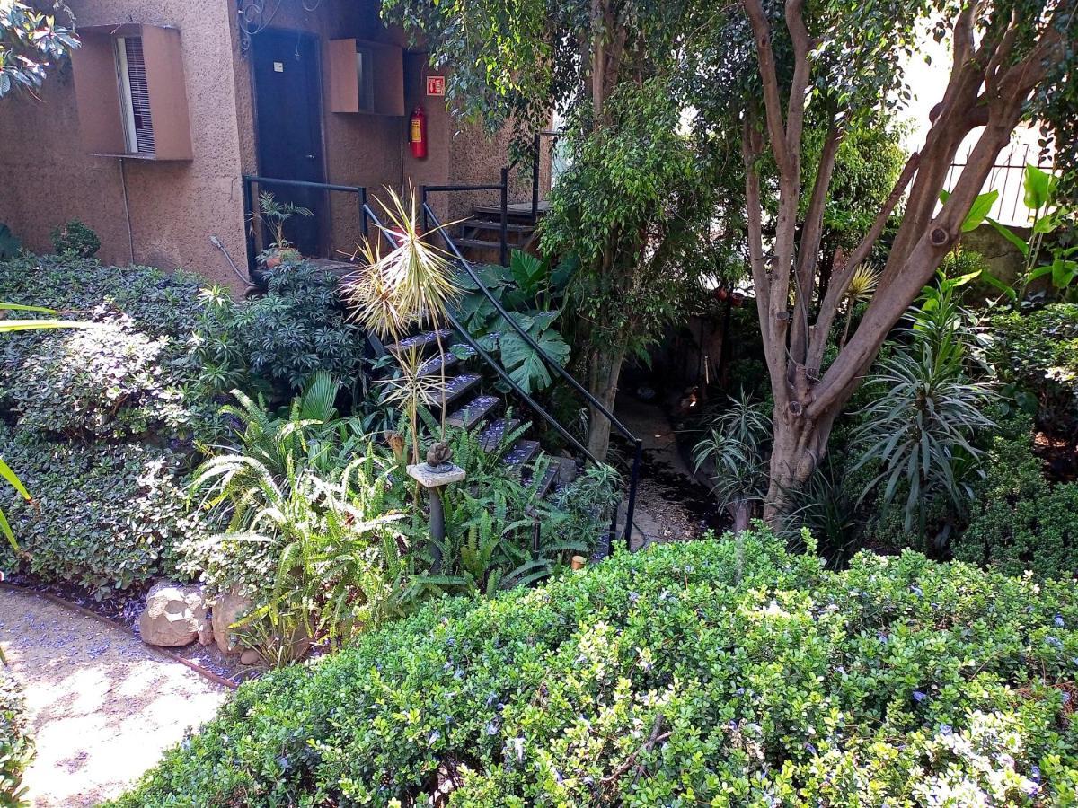 Suite 1-A Monasterio Garden House Welcome to San Angel Mexico-stad Buitenkant foto