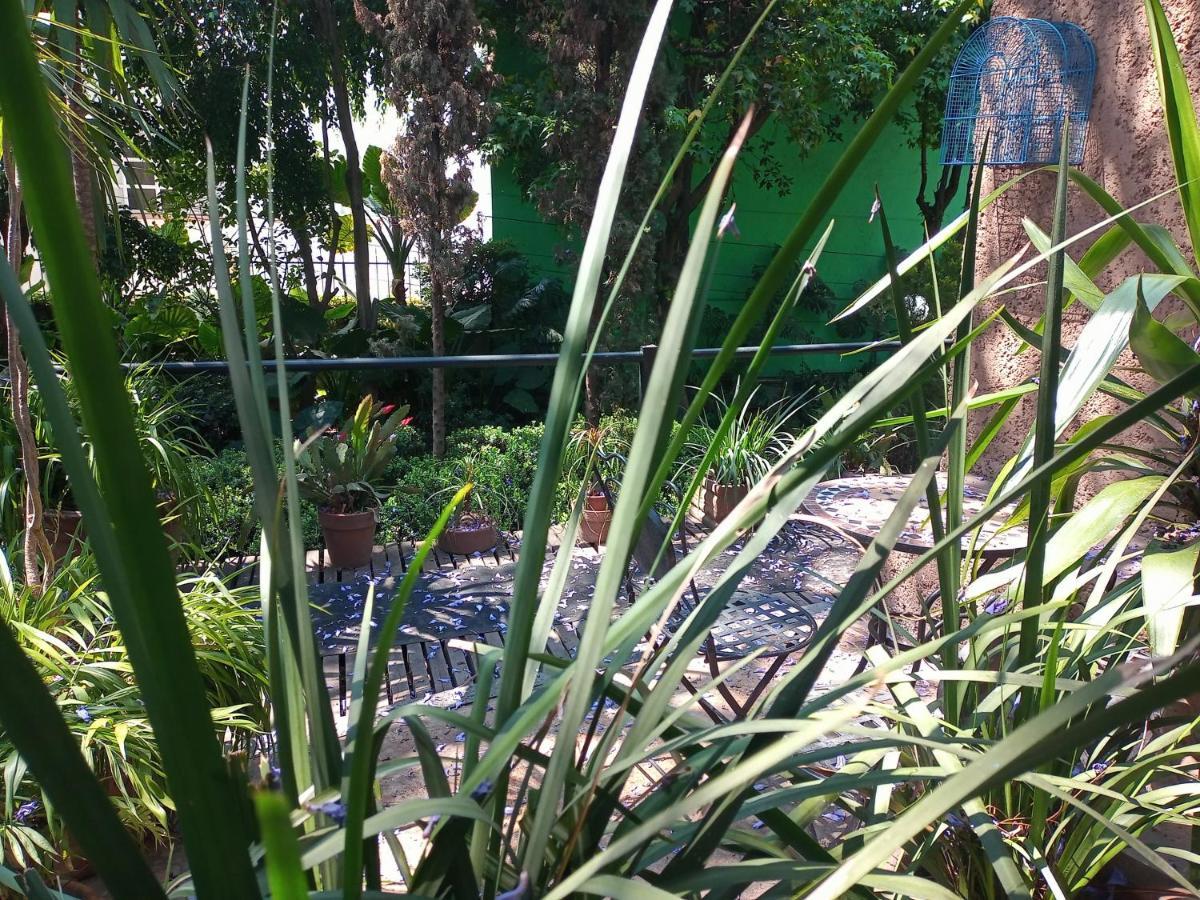 Suite 1-A Monasterio Garden House Welcome to San Angel Mexico-stad Buitenkant foto