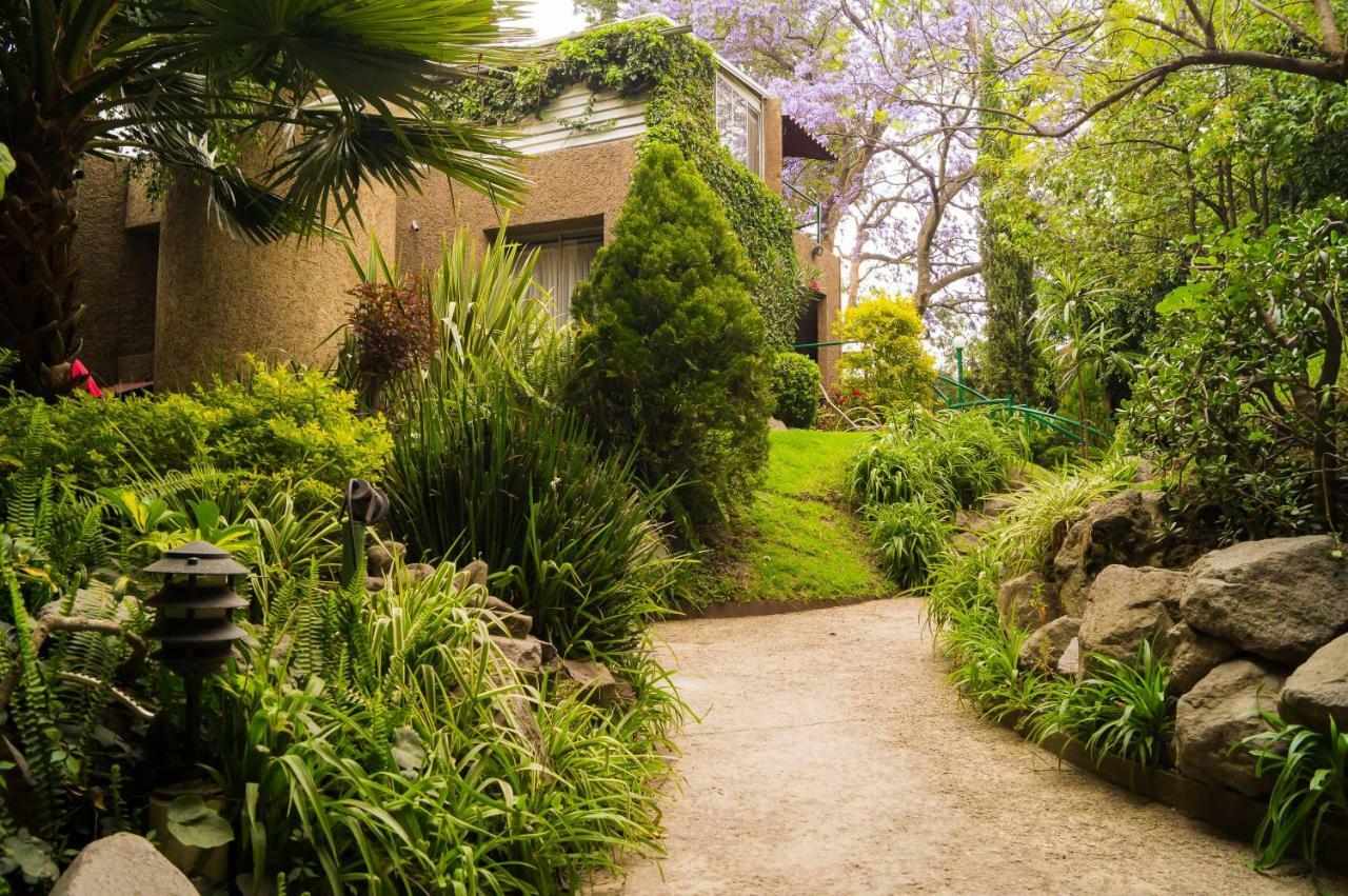 Suite 1-A Monasterio Garden House Welcome to San Angel Mexico-stad Buitenkant foto