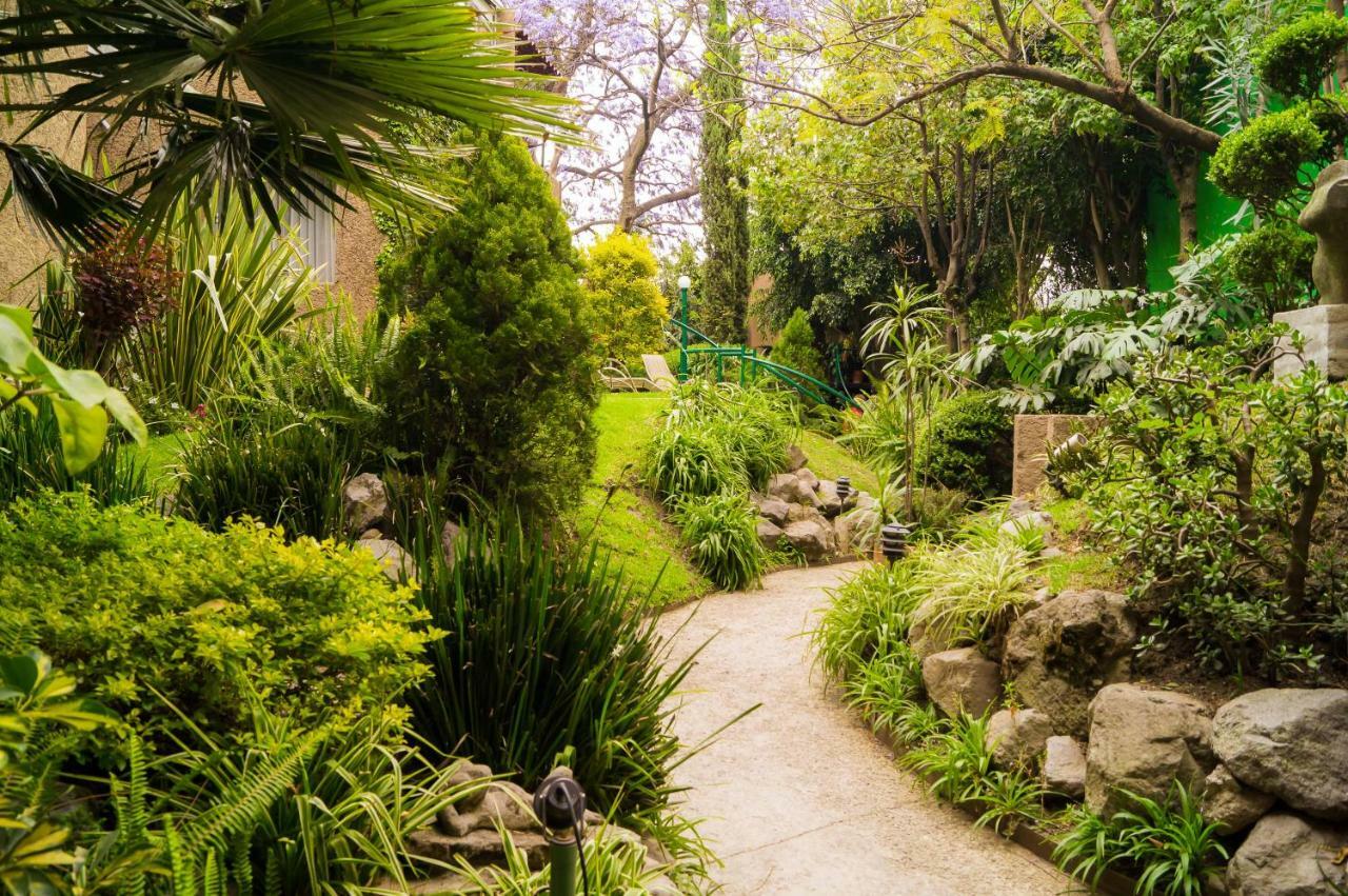 Suite 1-A Monasterio Garden House Welcome to San Angel Mexico-stad Buitenkant foto